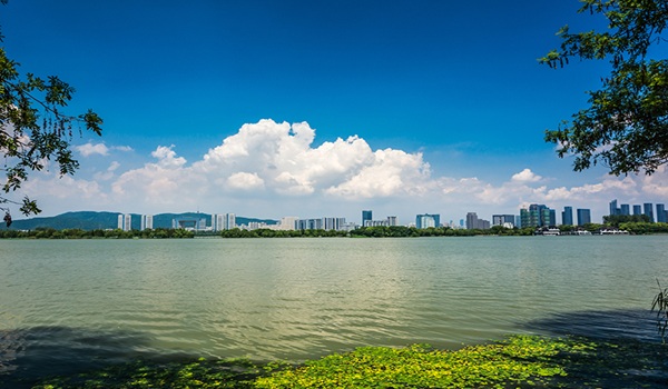 Prestige Golden Grove is located near Tellapur Lake and it's distance is 2.5 km