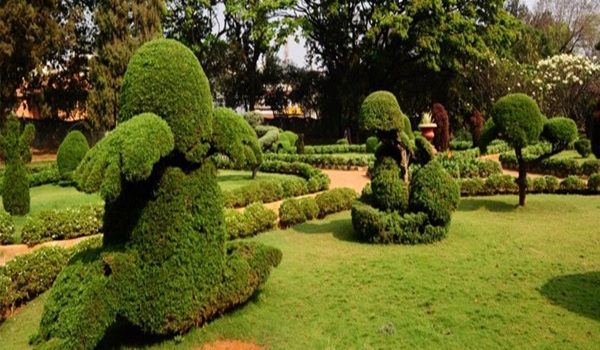 Featured Image of Hyderabad Botanical Gardens