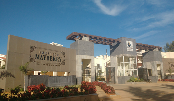 Featured Image of Prestige Mayberry