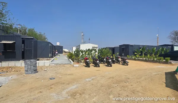 A wide, well-maintained asphalt road with checkered curbing and a line of trees leading to the Prestige Golden Grove development site.