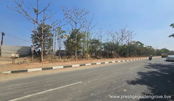 Wide asphalt access road with a checkered curb and roadside greenery leading toward the Prestige Golden Grove project site, demonstrating existing infrastructure and connectivity.