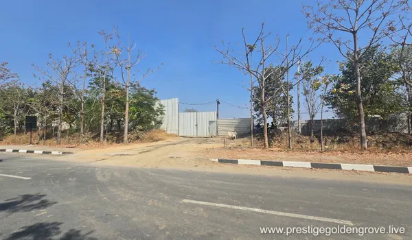 A wide-angle view of the secured entry gate at the Prestige Golden Grove construction site, featuring metal perimeter fencing, surrounding greenery, and an access road under a clear blue sky