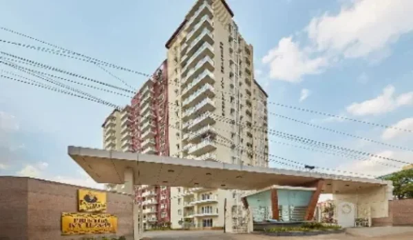 Featured Image of Prestige Ivy League