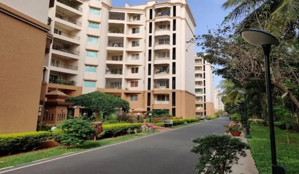 Featured Image of Prestige Monte Carlo