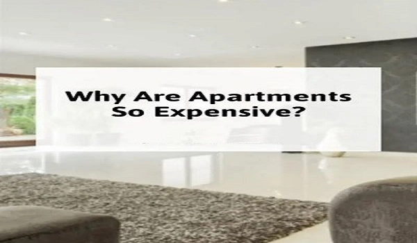 Featured Image of Why Are Prestige Flats So Expensive